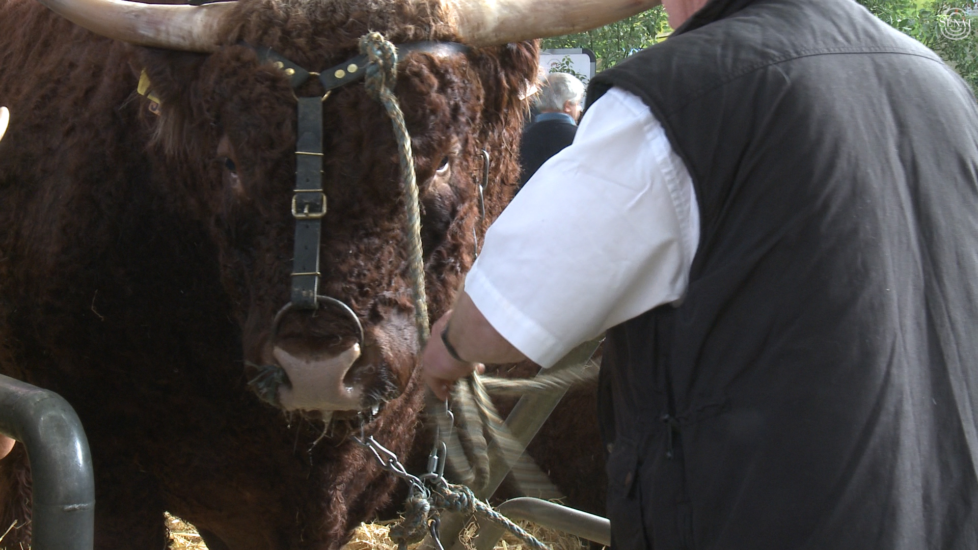 Déplacement de la commission des affaires économiques au Salon de l'Agriculture